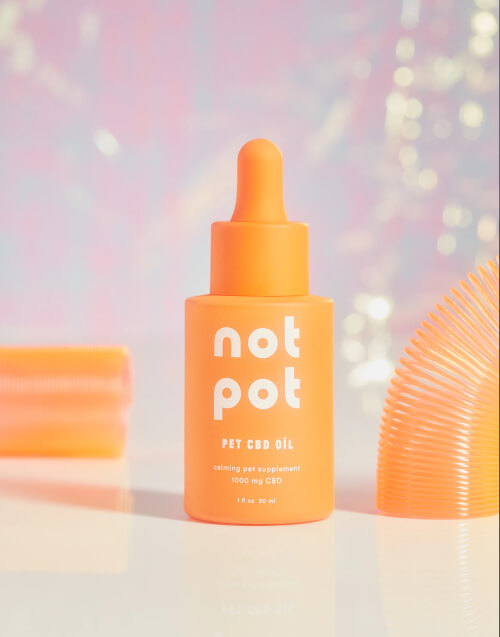 Not—Pot 03.